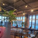 비엔나커피하우스춘천점 이미지