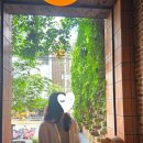 우산약국 | 치앙마이 여행 3일차｜왓 프라싱·왓 체디 루앙·캄빌리지·마사지 후기