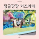 안산 선부동 정글팡팡 키즈카페 알차게 놀고 온 후기