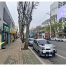 샐러드100미 이미지