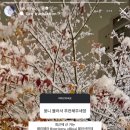 꿈에 그려본 장면 기꺼이 온몸을 던져
