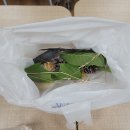 아라예술촌 | 구룡포 아라예술촌 &#39;시를 낚는 아이들&#39; 수업 내용과 참여 후기