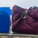 대신익스프레스 | 원주포장이사 이용 후기 대신익스프레스 선택한 이유