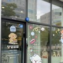 간식상점 | 세종 고운동 댕댕상점, 저알러지 강아지옷과 애견용품 솔직 후기