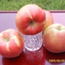 병규농장 이미지