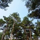 여주-1054 이미지