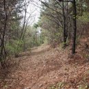 신점선생묘 이미지