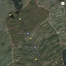 사이마을갤러리 이미지