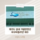 6월 제주도 비오는날 실내 아이랑 가볼만한 곳 아쿠아플라넷 제주 방문 후기