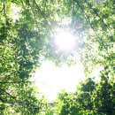 지리산반달작은도서관 이미지