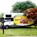 아프리카예술박물관 캠핑장 이미지