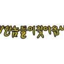 (주)인풀 이미지