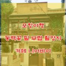 니어바이
