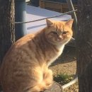 천기농장 이미지