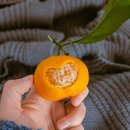 복덩이공인중개사사무소 이미지