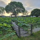 서동공원 이미지