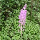 용문산마을 이미지