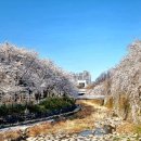 수양 이미지