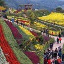 국화황토공원 이미지