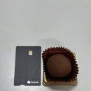 스테이 템포(stay tempo) 이미지