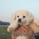 온도케이크 이미지