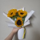 파스타 이츠 | 삼송 원흥 파스타맛집 파스타이츠 내돈내산 후기