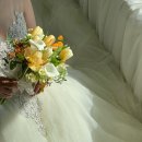 [Wedding] ‘가을스튜디오’ 웨딩촬영 후기(토탈스튜디오 장단점 | 가을 스튜디오 드레스 종류...