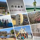 쌍계사 상록수림 | 우리나라의 명소를 찾아서 159(20년~) / 진도여행 3 - 운림산방 나들이 및 쌍계사 신비의바닷길 산책