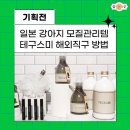 샴푸하개 티스토리