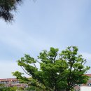 포이초등학교 이미지