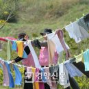 진도세탁 이미지