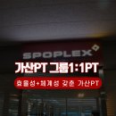 스포플렉스(가산점) 이미지