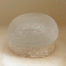 맑은물관리센터 | 아침세안제추천! 이슬로 생분해 이슬솝으로 자극 없이 맑은 피부 관리 솔직후기(ft. 화잘먹템)