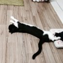 장보리마트 이미지