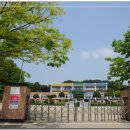 진위초등학교병설유치원 네이버블로그