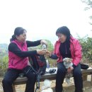 다루농장 이미지