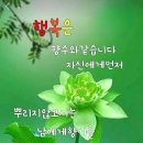 ⚘️인간적 향기가 나는 사람 ⚘️ 이미지