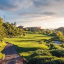 푸른솔GC 이미지