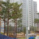 서울항동초등학교 이미지