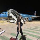 경남건기 | 베트남항공 특가 항공권, 나트랑·하노이·호치민·다낭 인천·부산 출발 할인