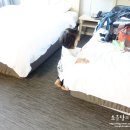 이디아장 | 제주도 해비치 리조트 호텔 아기를 위한 공간 무료대여 서비스