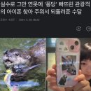 하우애니 이미지