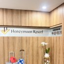 민앤팜 | Wedding_20) 몰디브 리조트 정하기.. 우선순위 정하기, 토요일 박람회 상담