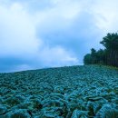 여명공원 이미지