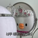 더오리 이미지