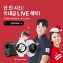 캐디라이브 스포츠서울