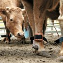 한국후지쯔(주) 이미지