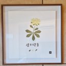 천부초등학교 | 2024년 8월 울릉도 2박3일여행, 배편 여행경비 숙소 울릉도오징어축제