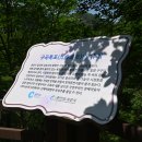 ① 춘천 강촌 구곡폭포, 의암호 스카이워크- ( 2026.06.02 )