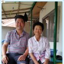 차인지웰빙식품